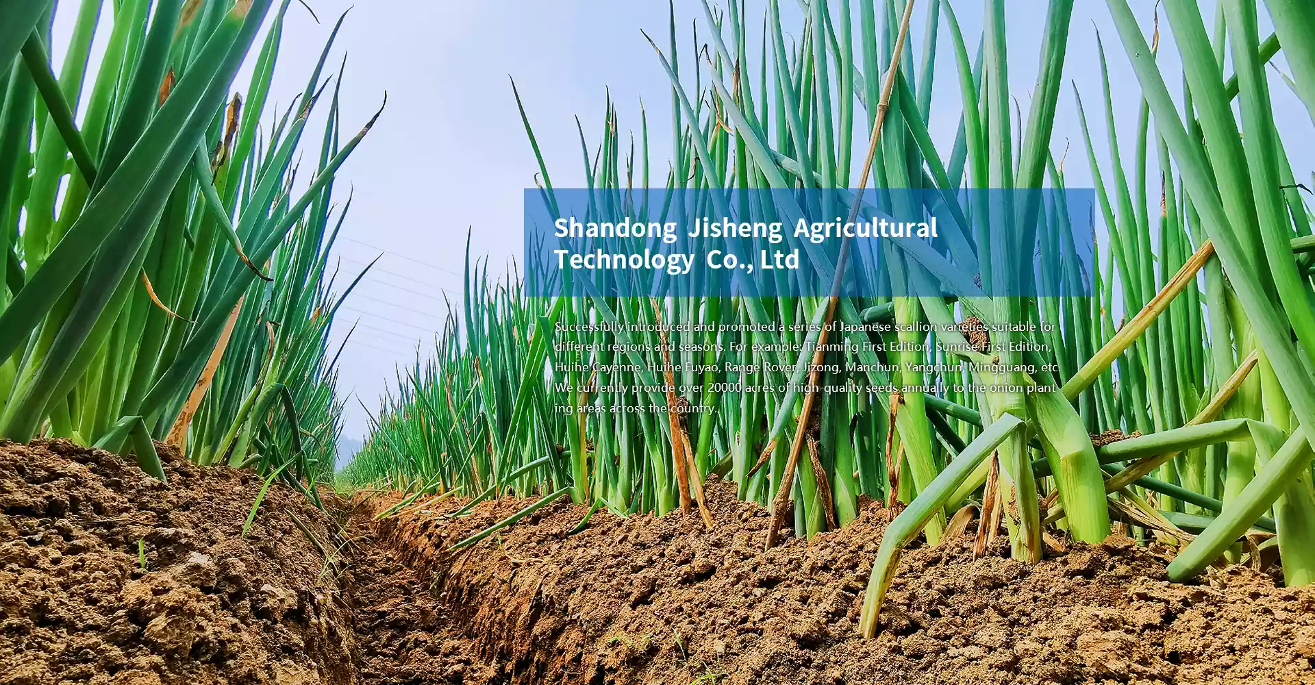 Jisheng Agriculture