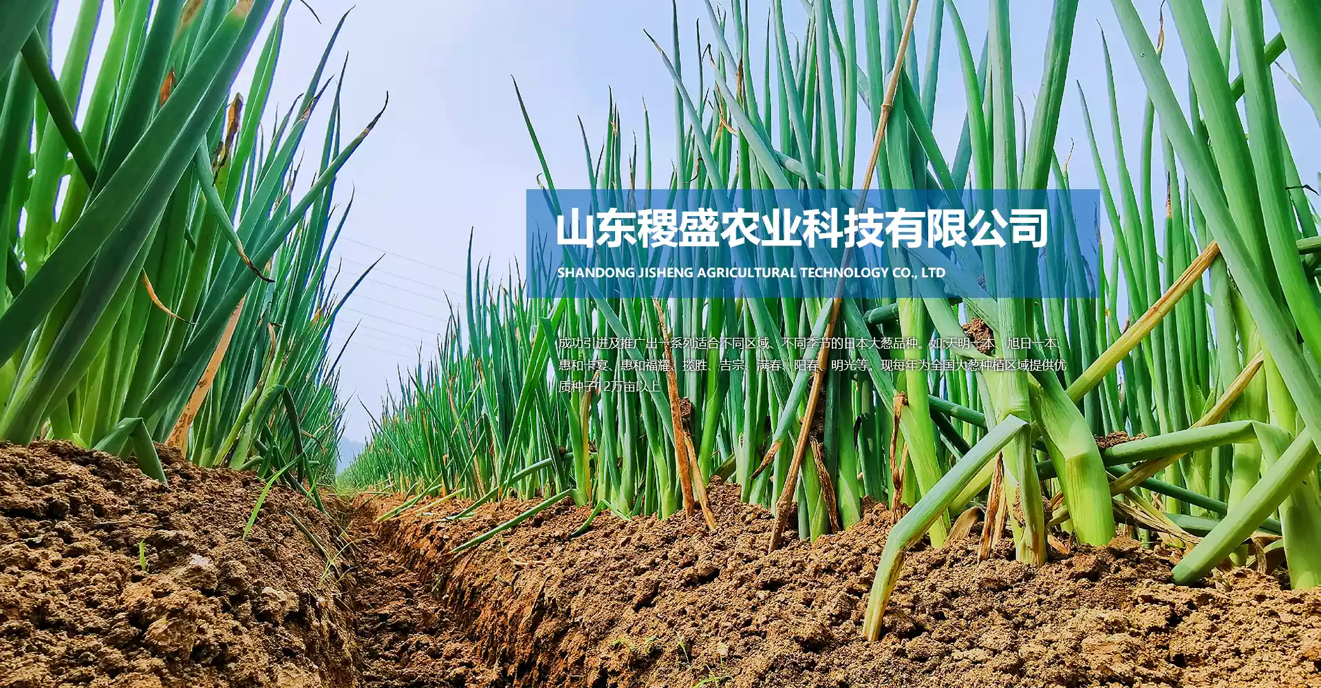 稷盛农业