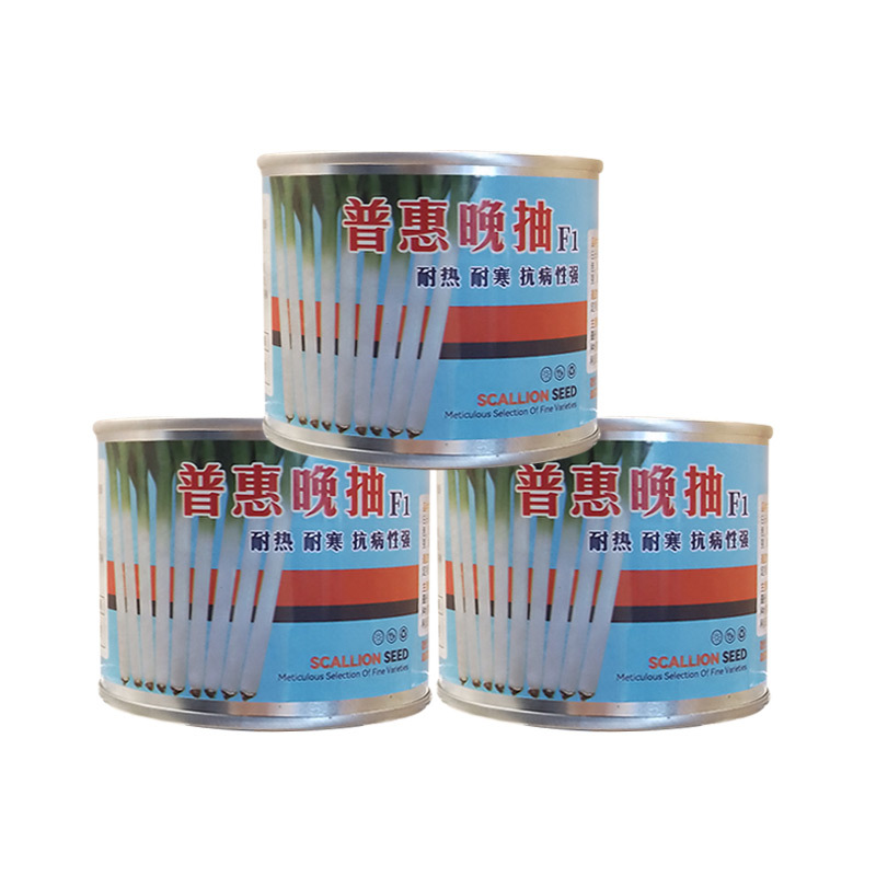 普惠晚抽