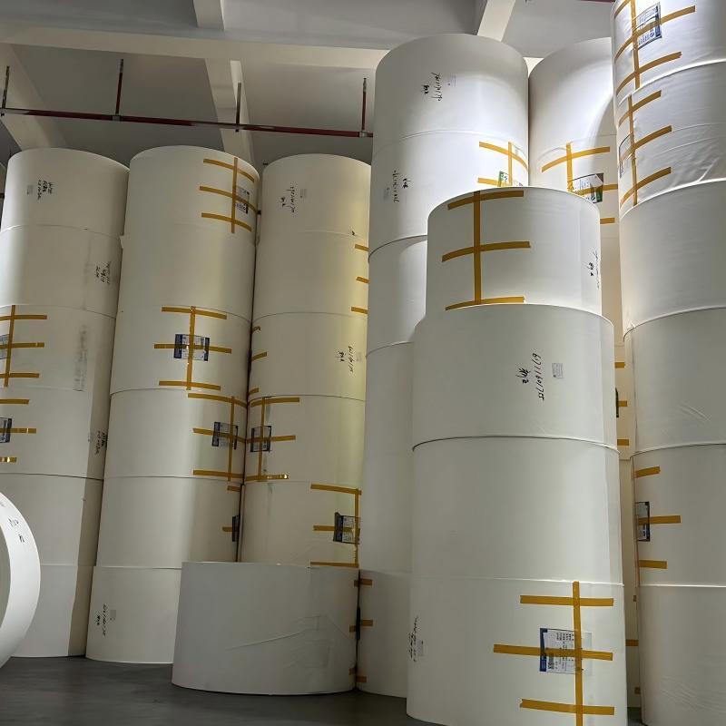 PE coated paper for paper cup/ bowl