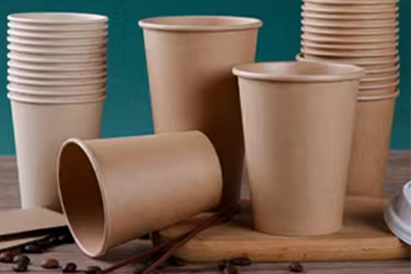 How to choose a trick with so many misunderstandings about disposable paper cups