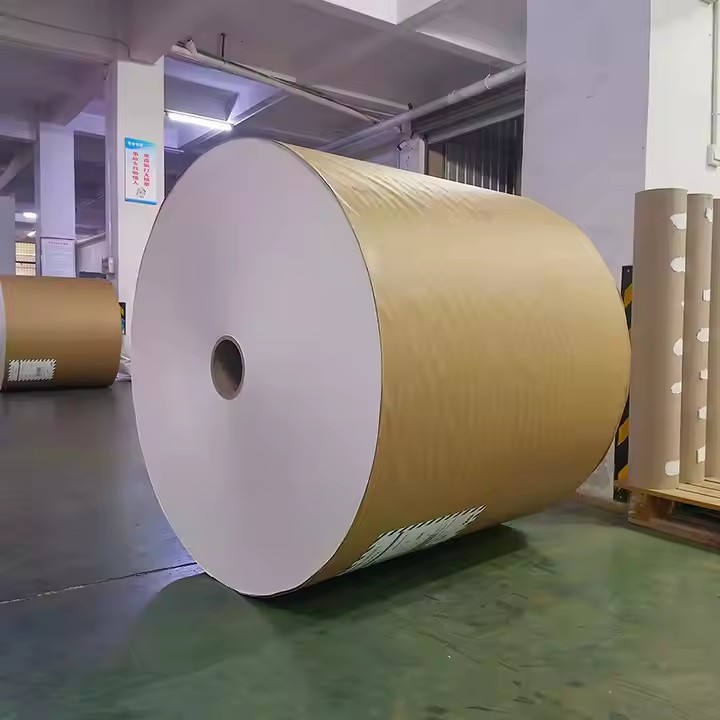 PE coated paper for paper cup/ bowl coffee cup raw material paper roll