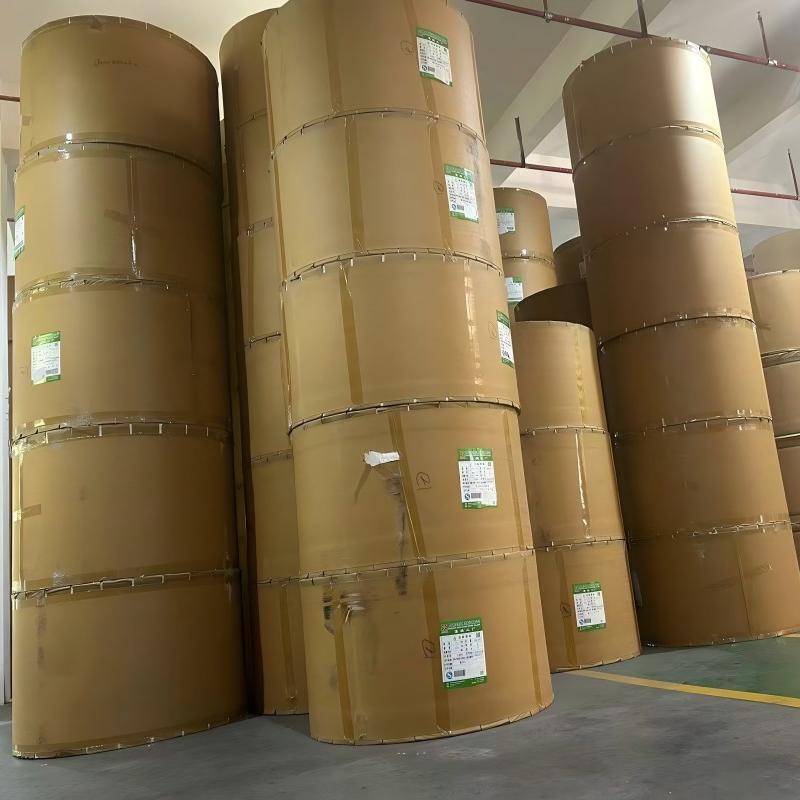 PE coated paper for paper cup/ bowl coffee cup raw material