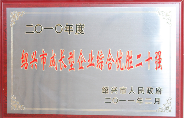 2010紹興市成長(zhǎng)型企業(yè)綜合優(yōu)勝二十強(qiáng)