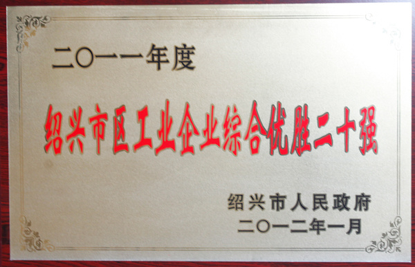 2011紹興市區(qū)工業(yè)企業(yè)綜合優(yōu)勝二十強(qiáng)