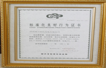 Standardized Certificate of Good Conduct