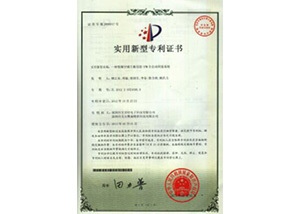 Utility model patent certificate nine