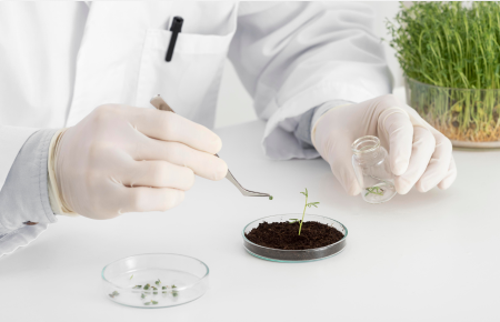 植物提取领域