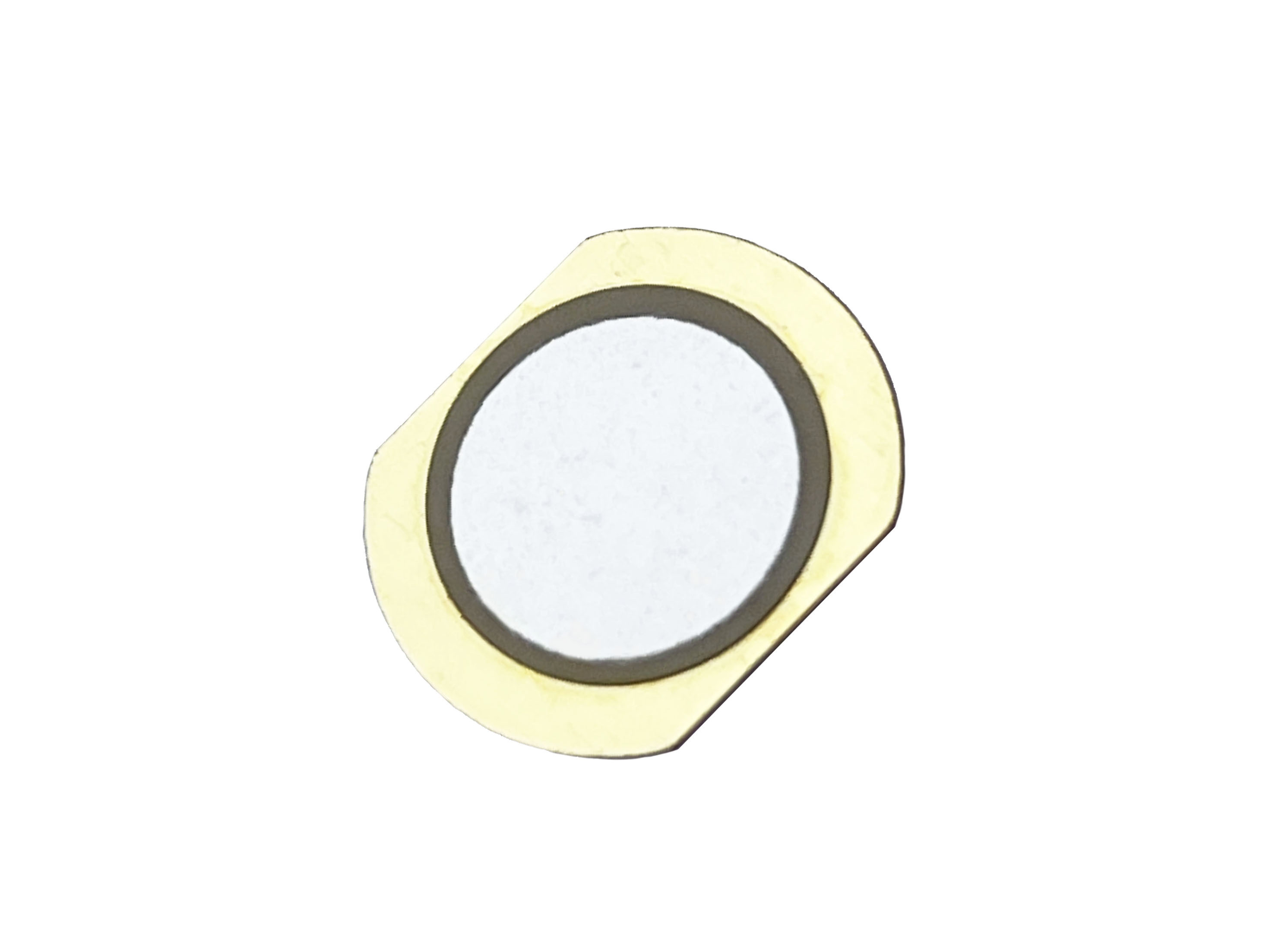 10.0khz Acoustic Transducer External Drive Piezo Element