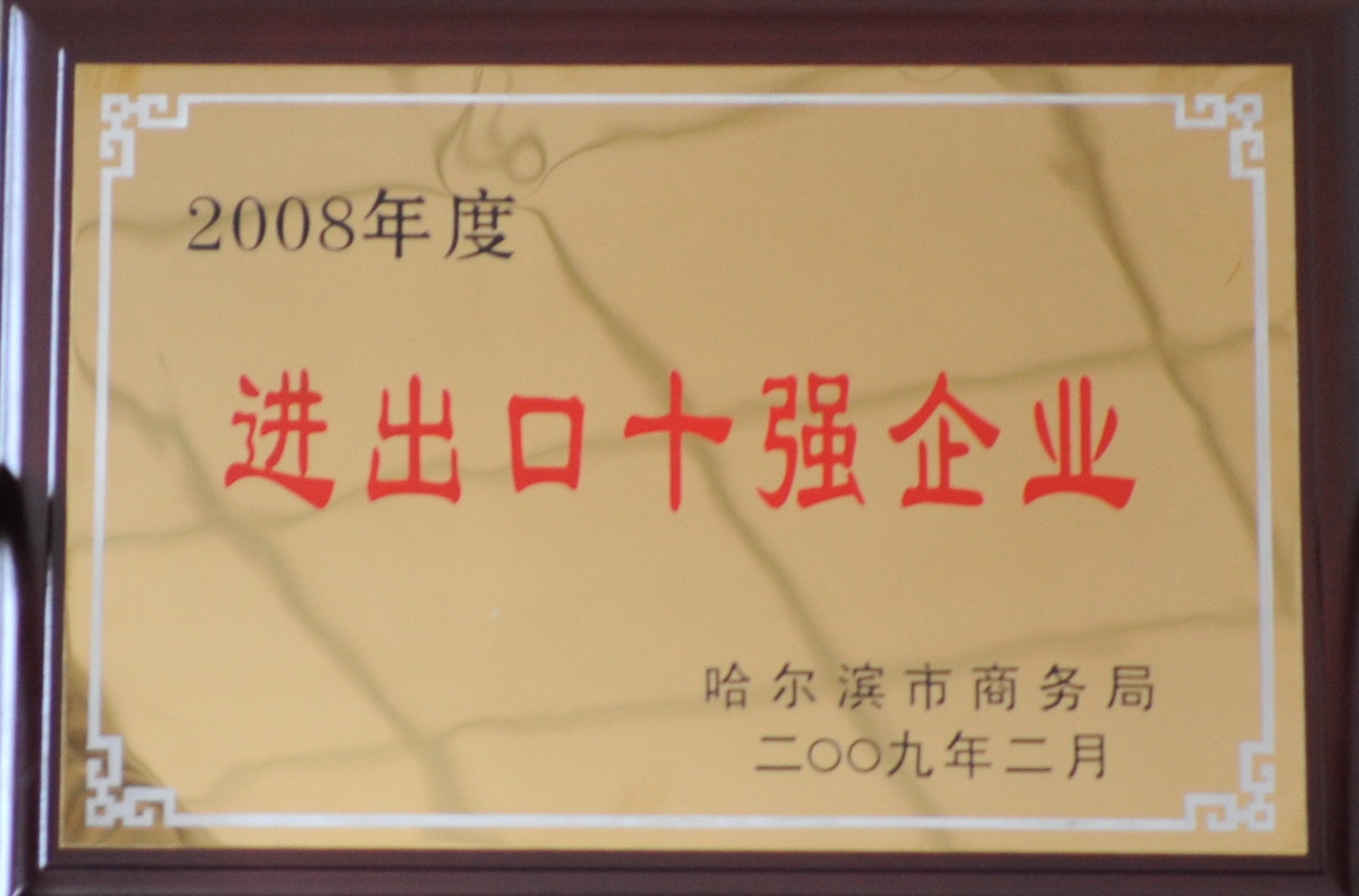 進(jìn)出口十強(qiáng)企業(yè)