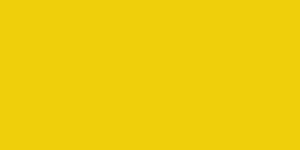 Cationic Yellow X-8GL