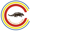 南通变色龙印染有限公司