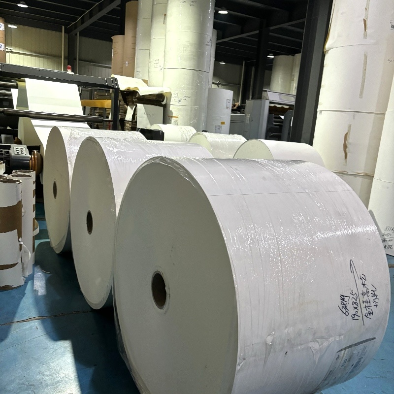 Customized PE Coated Virgin Paper Cup Roll Environmentally Friendly