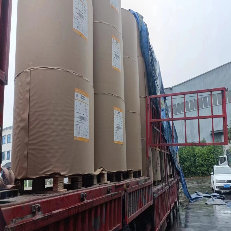 150-350GSM PE Coated Kraft Paper Roll Bottom Paper Roll for Making 100% Biodegradable Paper Cups