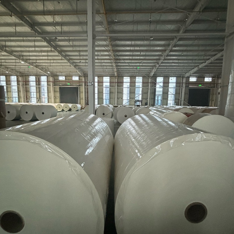 Custom Width Paper GSM Tea Paper Cup Material PE Coated Paper Roll