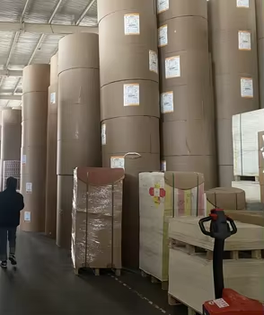 China Factory Wholesale Single Wall Craft Paper Cup Bottom Roll PE Coated for Paper Cups