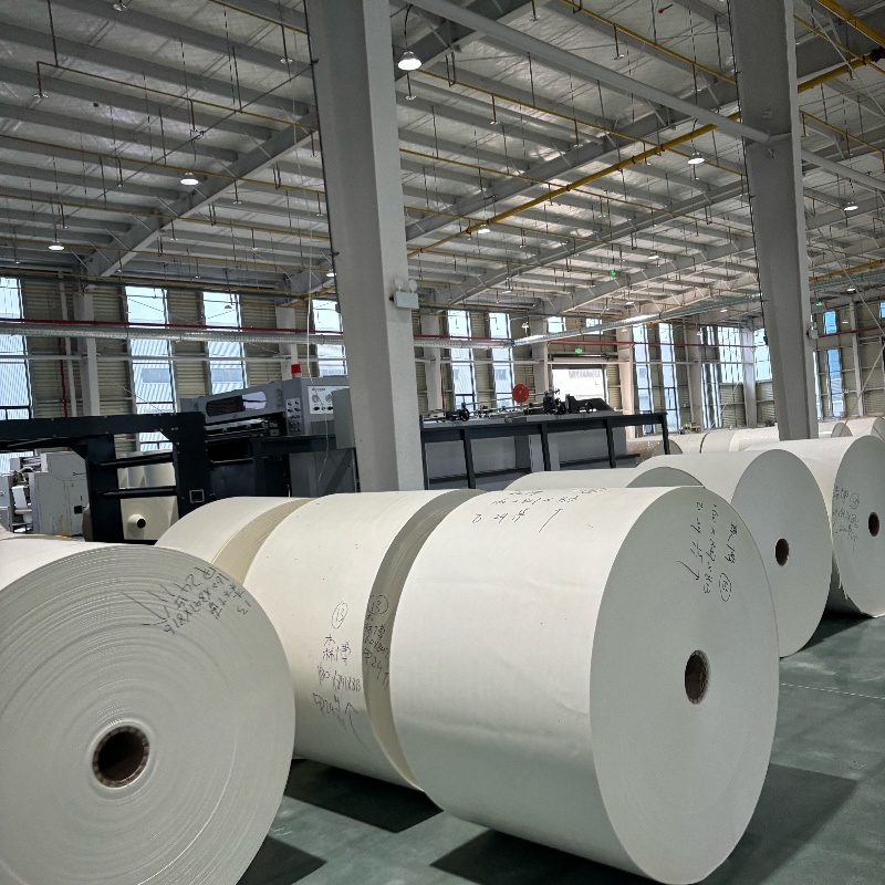 Pe Coated Paper Roll Material for Paper Cup