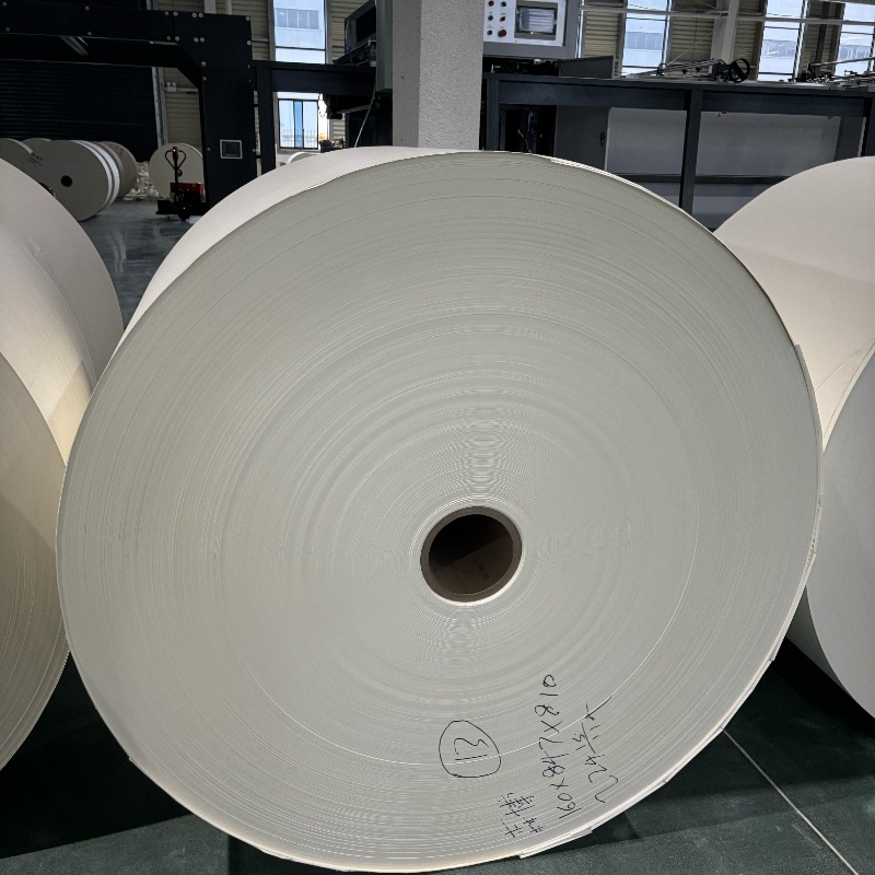 Wholesale Customizable Logo Paper Cups Degradable Raw Material Low Price Factory Offer Pe-coated Paper Roll