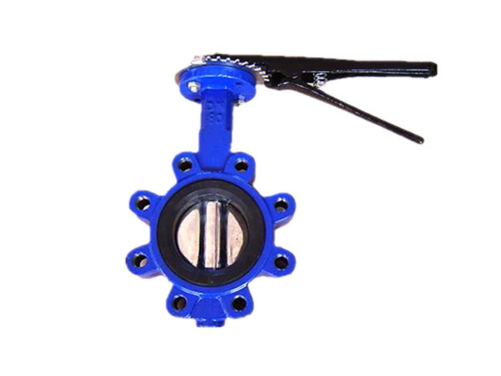 Lug butterfly valve