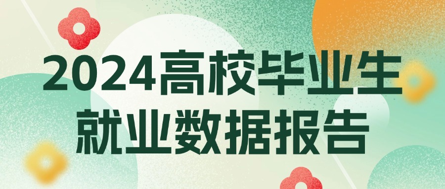 2024年高校毕业生就业数据报告