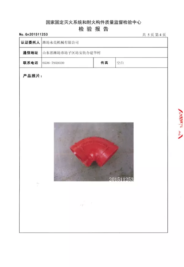 Report