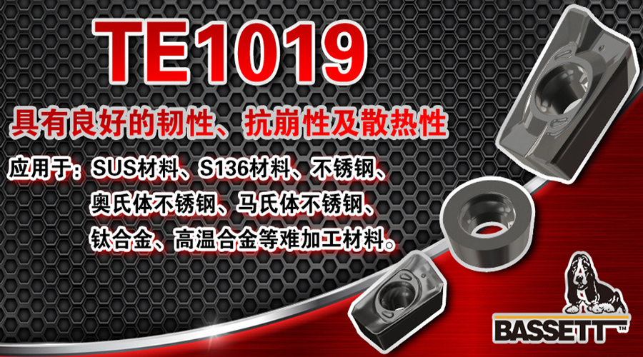 初夏的升温，提升Basset品牌 - 新品牌TE1019