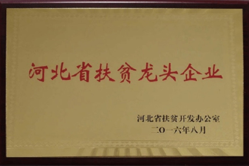 河北省扶贫龙头企业
