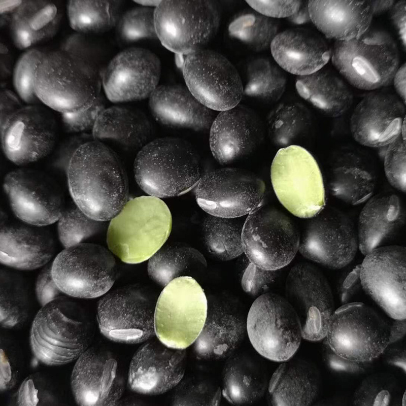 黒大豆の緑色のカーネル