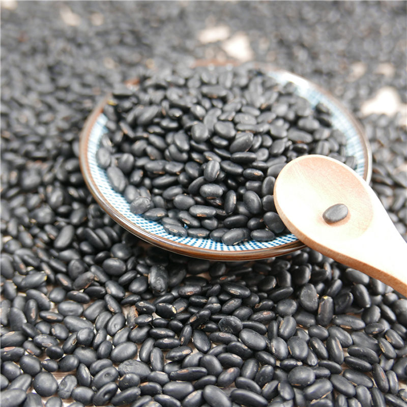 Black soybean