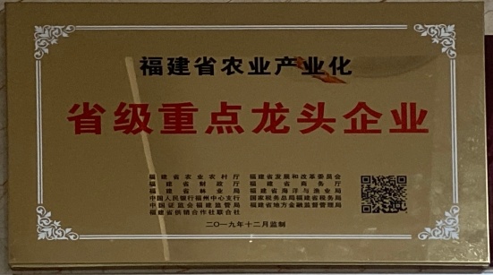 省級重點龍頭企業(yè)
