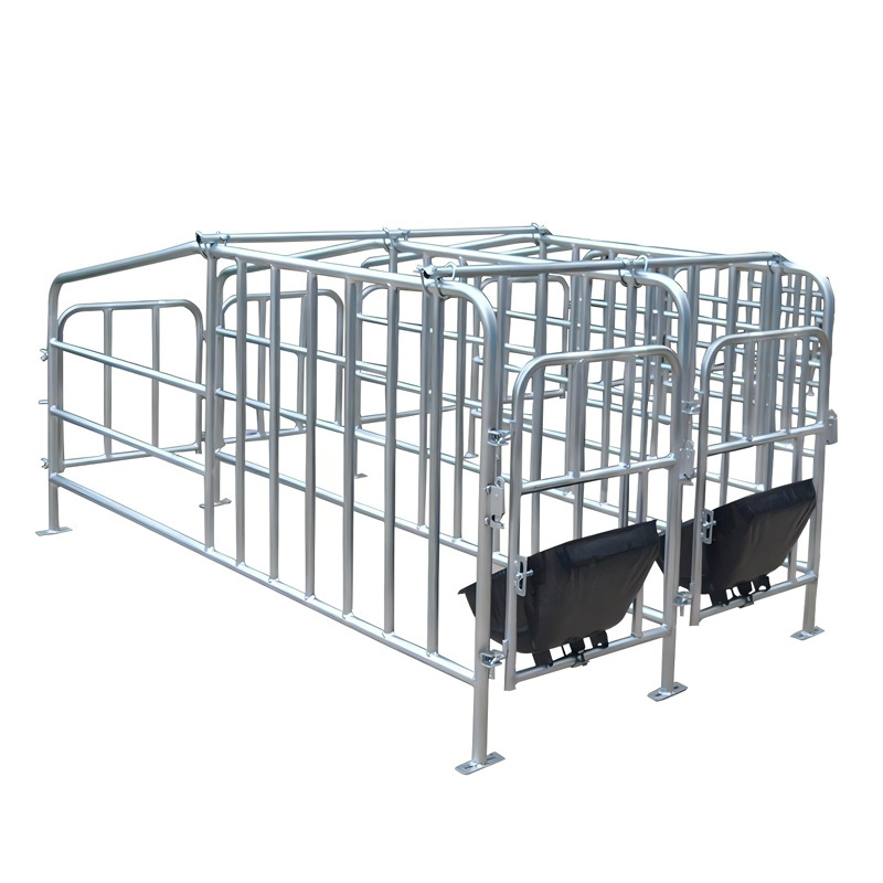 Sow restricted pens gestation crates