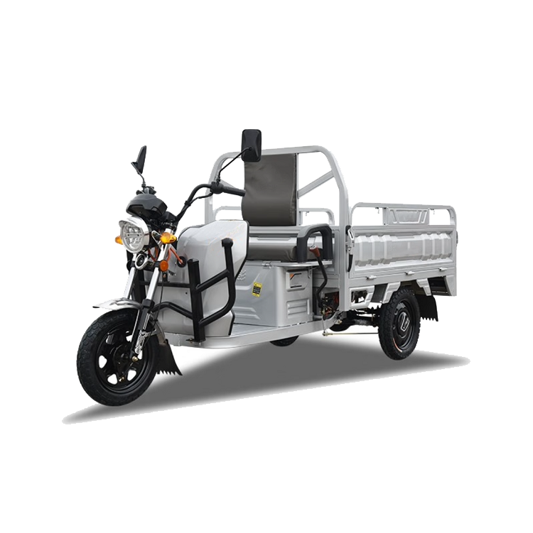 E-tricycle cargo  YTB003