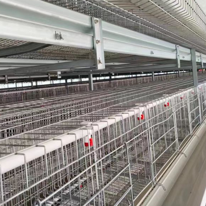 Chicken cage H-tape