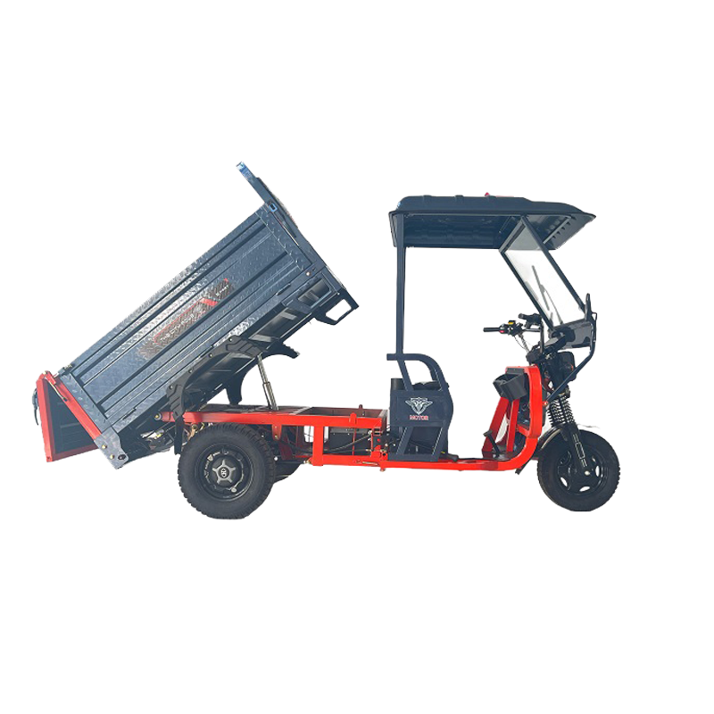 E-tricycle cargo YTB008