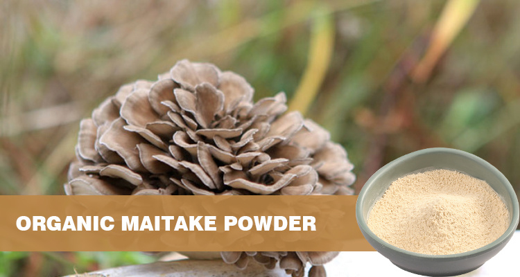 Organic Maitake Powder