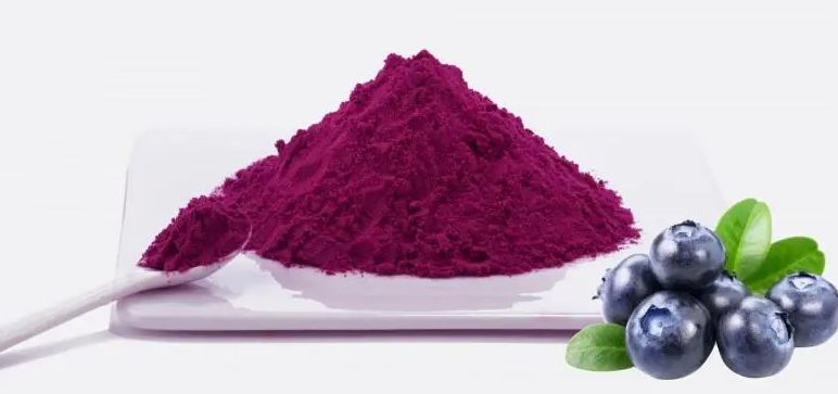 Organic Blueberry Powder