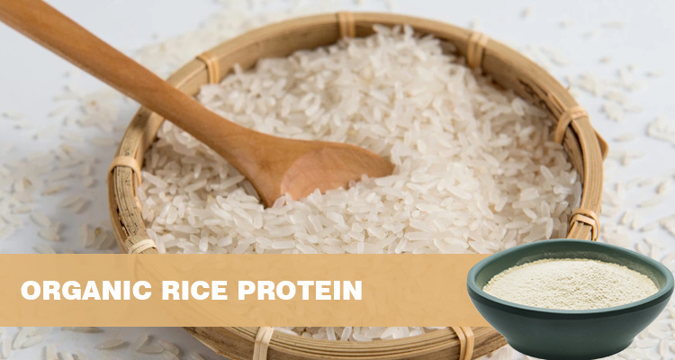 Organic Rice Protein Powder