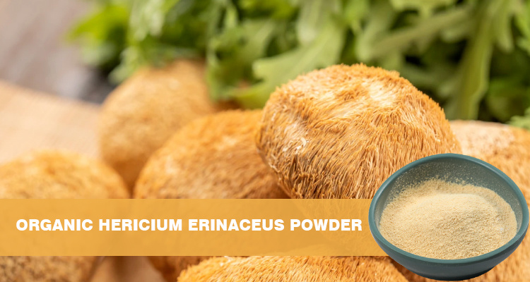 Organic Lion's Mane Extract