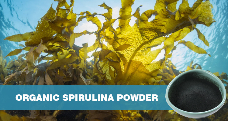 Organic Spirulina Powder