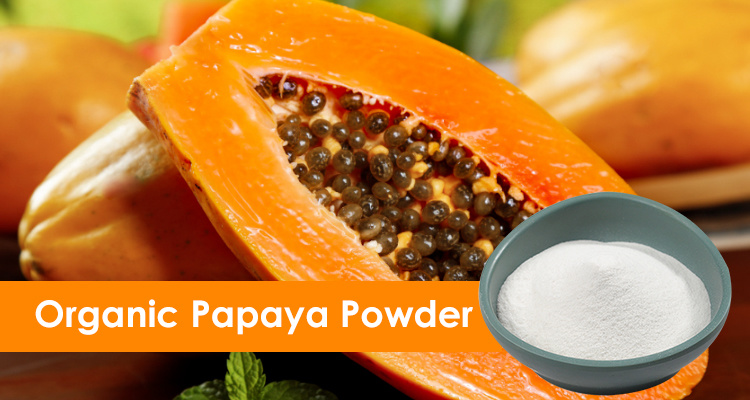 Organic Papaya Powder