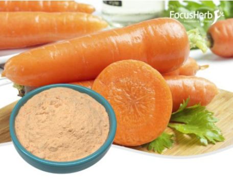Organic Carrot Powder