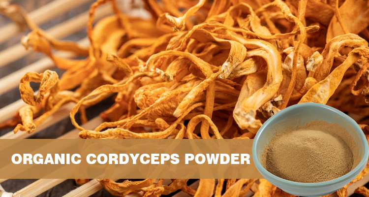 Organic Cordyceps Powder 
