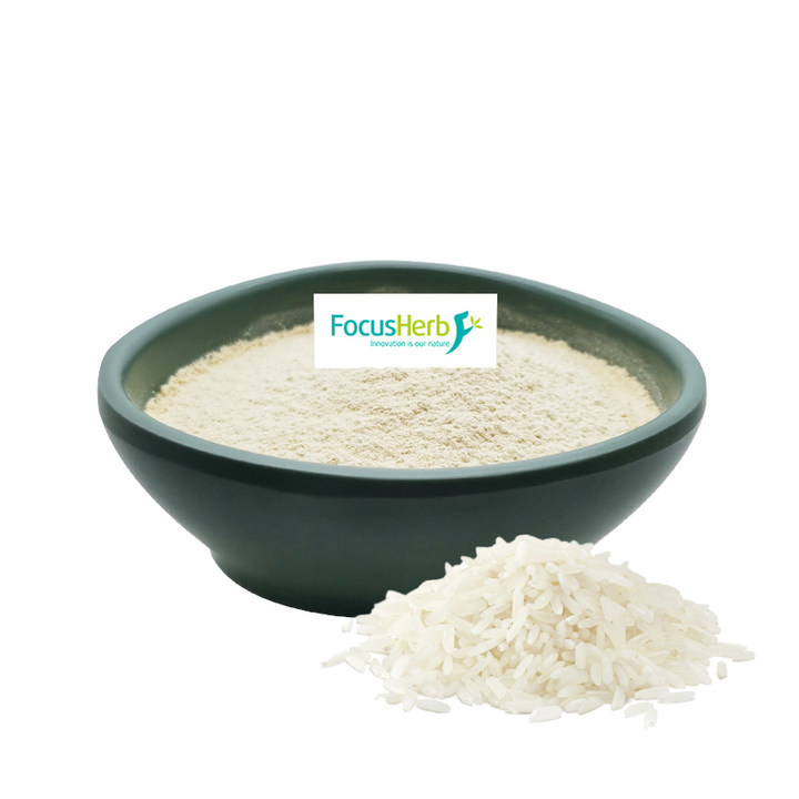 Organic Rice Protein Powder
