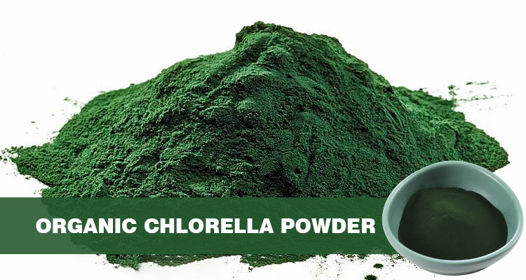 Organic Chlorella Powder