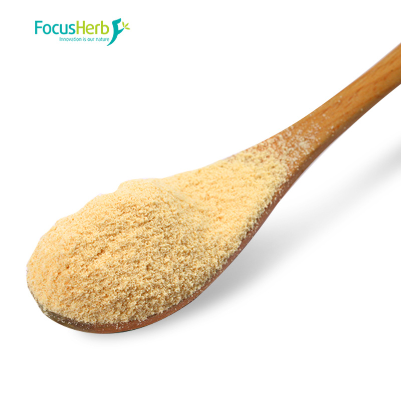 Organic Lion's Mane Extract