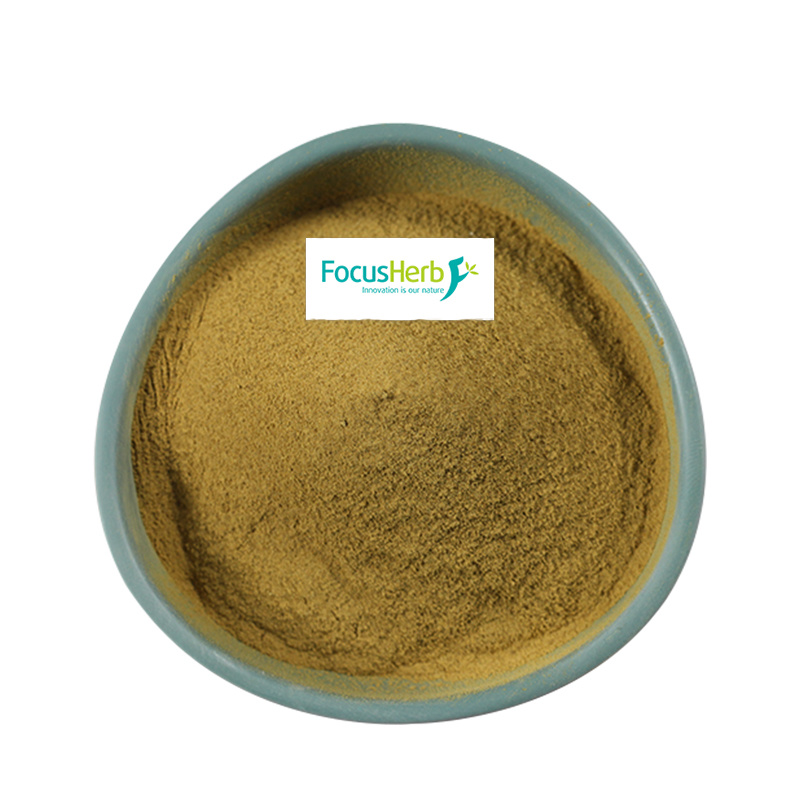 Organic Ginkgo Biloba Leaf Powder