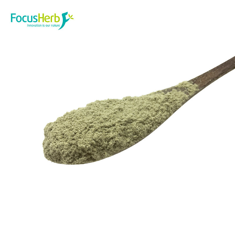Organic Nettle Leaf Powder