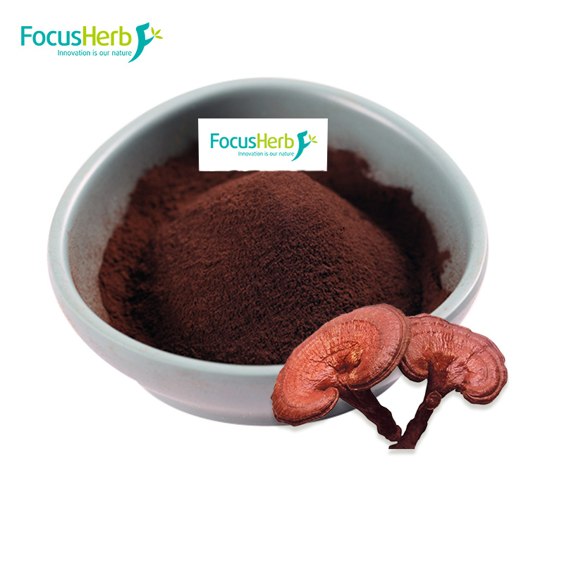 Organic Reishi Powder: A Natural Enabler for Cardiovascular Health | FocusHerb