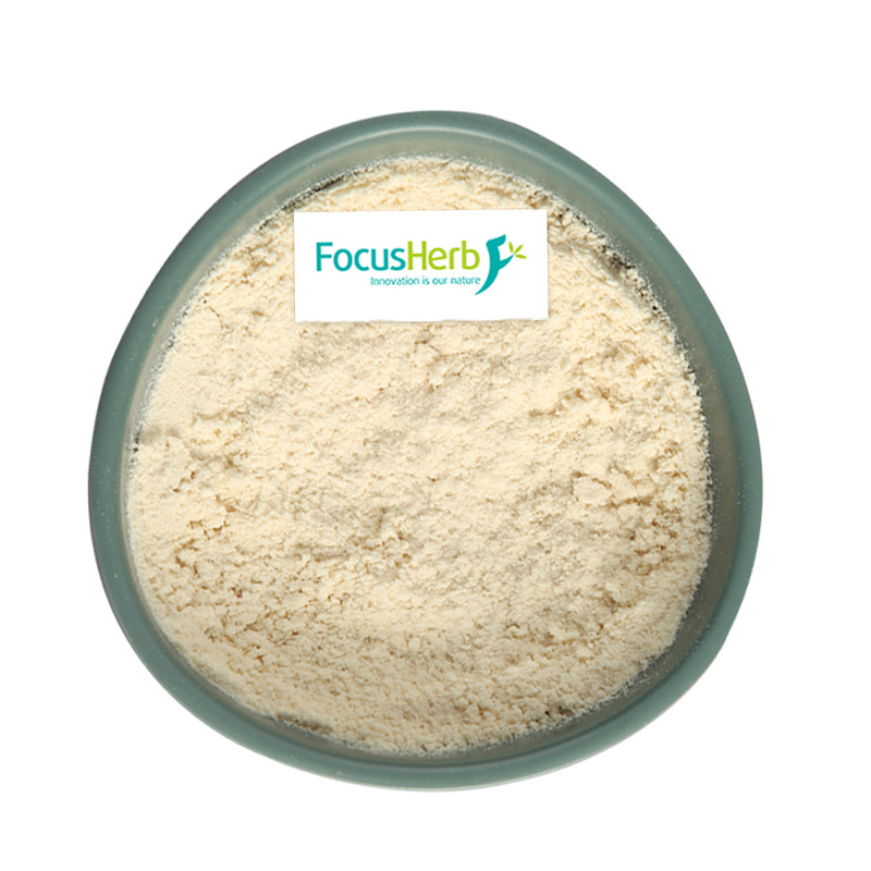 Organic Pumpkin Seed Protein Powder