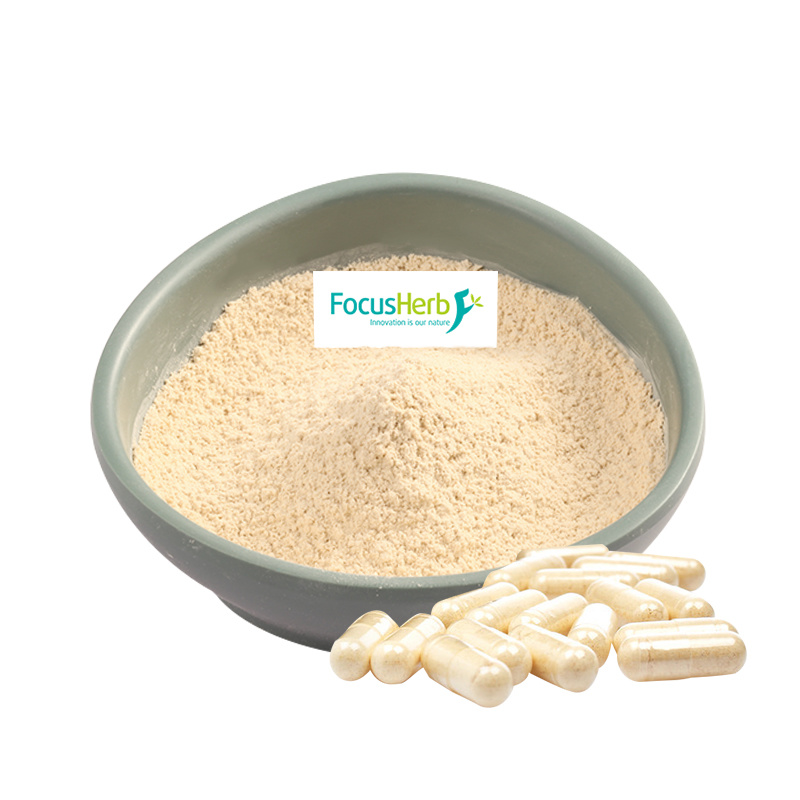 Organic Maitake Powder